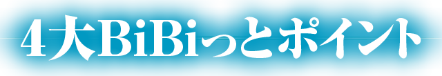 4BiBiƃ|Cg