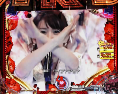 CRぱちんこAKB48 バラの儀式