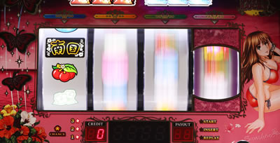 南国育ち-30