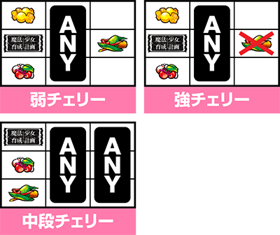 p`X @琬v