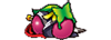 p`X퍑P
