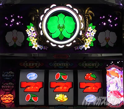 マイフラワー2-30