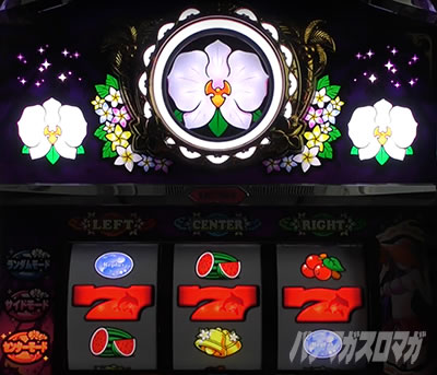 マイフラワー2-30