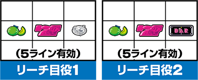 SLOTpbN}