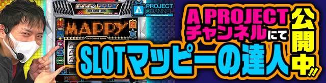 A PROJECT`lɂSLOT}bs[̒Bl J