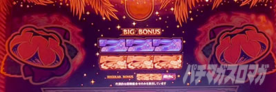 燃えチバ