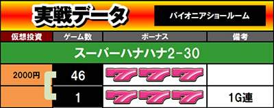 スーパーハナハナ2-30