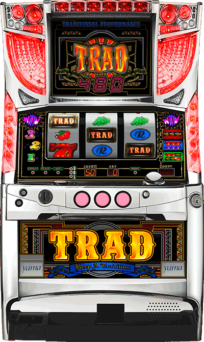 TRAD480ʐ^