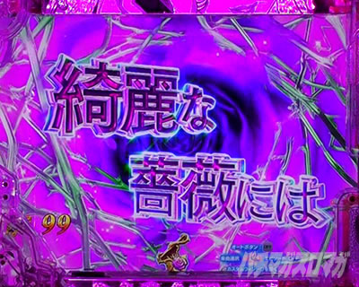 P���p���O��ONE COLLECTION P���p���O�������R���N�V���� P���p���O��14 �p�`���R�b�s��q�����艉�o