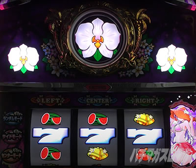 マイフラワー2-30