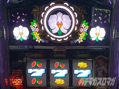 マイフラワー2-30