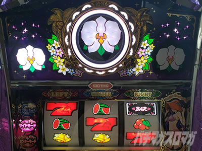 マイフラワー2-30