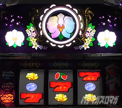 マイフラワー2-30