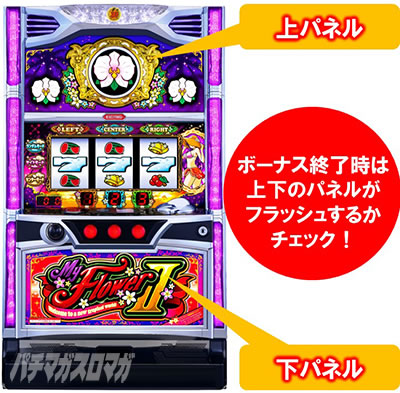 マイフラワー2-30