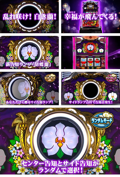 マイフラワー2-30 胡蝶蘭 マイ告知ランプ サイドランプ
