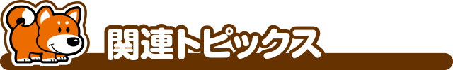 �֘A�g�s�b�N�X