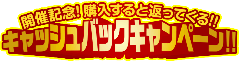 �J�ËL�O! �w������ƕԂ��Ă���!! �L���b�V���o�b�N�L�����y�[��!!